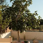 Mazi Paros * Aliki (Paros)