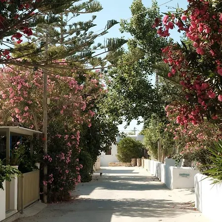 Mazi Paros * Aliki (Paros)