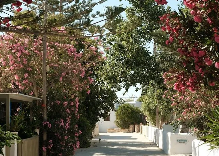 Mazi Paros * Aliki (Paros)