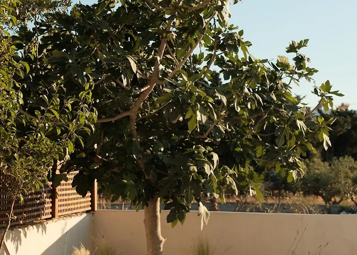 Mazi Paros * Aliki (Paros)